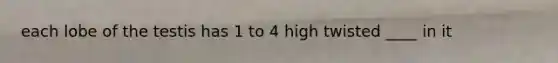 each lobe of the testis has 1 to 4 high twisted ____ in it