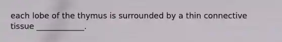 each lobe of the thymus is surrounded by a thin connective tissue ____________.