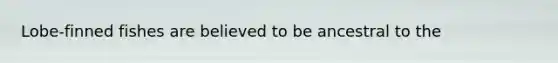 Lobe-finned fishes are believed to be ancestral to the