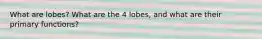 What are lobes? What are the 4 lobes, and what are their primary functions?