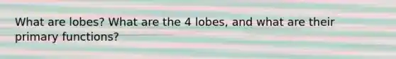 What are lobes? What are the 4 lobes, and what are their primary functions?