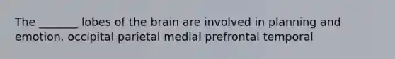 The _______ lobes of the brain are involved in planning and emotion. occipital parietal medial prefrontal temporal