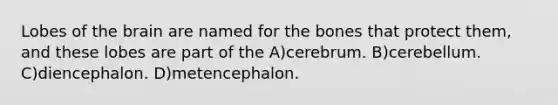 Lobes of the brain are named for the bones that protect them, and these lobes are part of the A)cerebrum. B)cerebellum. C)diencephalon. D)metencephalon.