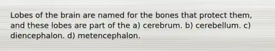 Lobes of the brain are named for the bones that protect them, and these lobes are part of the a) cerebrum. b) cerebellum. c) diencephalon. d) metencephalon.