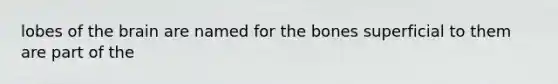 lobes of <a href='https://www.questionai.com/knowledge/kLMtJeqKp6-the-brain' class='anchor-knowledge'>the brain</a> are named for the bones superficial to them are part of the