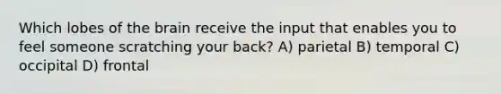 Which lobes of the brain receive the input that enables you to feel someone scratching your back? A) parietal B) temporal C) occipital D) frontal