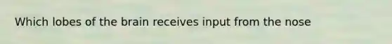 Which lobes of the brain receives input from the nose