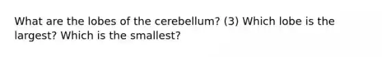 What are the lobes of the cerebellum? (3) Which lobe is the largest? Which is the smallest?