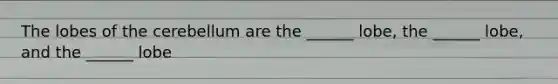 The lobes of the cerebellum are the ______ lobe, the ______ lobe, and the ______ lobe