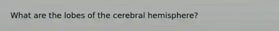 What are the lobes of the cerebral hemisphere?