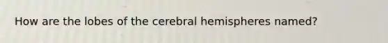 How are the lobes of the cerebral hemispheres named?