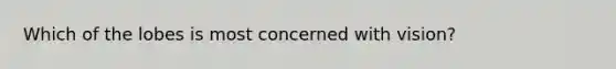 Which of the lobes is most concerned with vision?