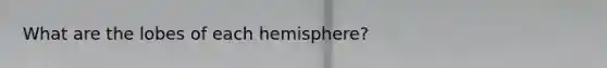 What are the lobes of each hemisphere?