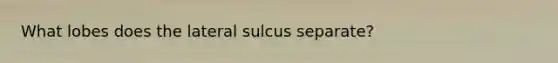 What lobes does the lateral sulcus separate?