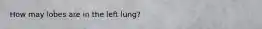 How may lobes are in the left lung?