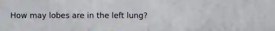 How may lobes are in the left lung?