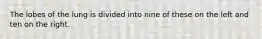 The lobes of the lung is divided into nine of these on the left and ten on the right.