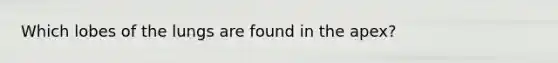 Which lobes of the lungs are found in the apex?