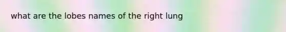 what are the lobes names of the right lung