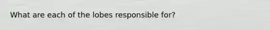 What are each of the lobes responsible for?