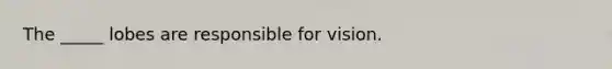 The _____ lobes are responsible for vision.