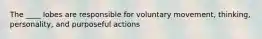 The ____ lobes are responsible for voluntary movement, thinking, personality, and purposeful actions