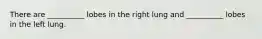 There are __________ lobes in the right lung and __________ lobes in the left lung.