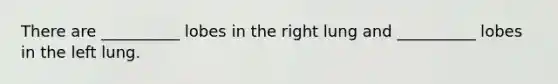 There are __________ lobes in the right lung and __________ lobes in the left lung.