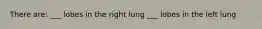 There are: ___ lobes in the right lung ___ lobes in the left lung