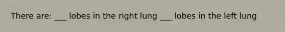 There are: ___ lobes in the right lung ___ lobes in the left lung