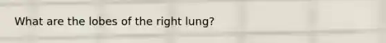 What are the lobes of the right lung?