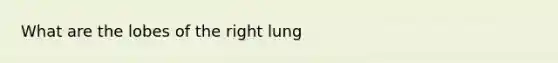 What are the lobes of the right lung