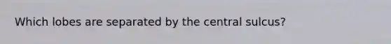 Which lobes are separated by the central sulcus?