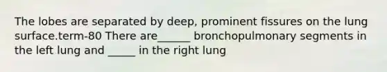 The lobes are separated by deep, prominent fissures on the lung surface.term-80 There are______ bronchopulmonary segments in the left lung and _____ in the right lung