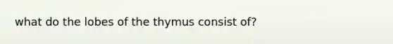 what do the lobes of the thymus consist of?