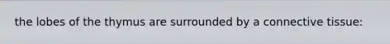 the lobes of the thymus are surrounded by a connective tissue: