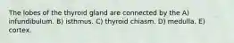 The lobes of the thyroid gland are connected by the A) infundibulum. B) isthmus. C) thyroid chiasm. D) medulla. E) cortex.