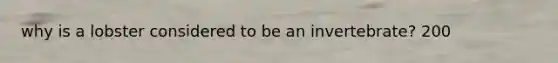 why is a lobster considered to be an invertebrate? 200