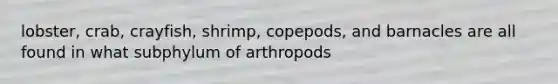 lobster, crab, crayfish, shrimp, copepods, and barnacles are all found in what subphylum of arthropods