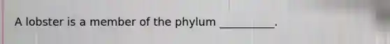 A lobster is a member of the phylum __________.