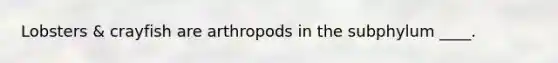 Lobsters & crayfish are arthropods in the subphylum ____.