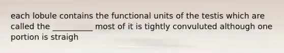 each lobule contains the functional units of the testis which are called the __________ most of it is tightly convuluted although one portion is straigh