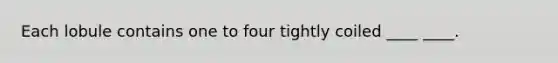 Each lobule contains one to four tightly coiled ____ ____.