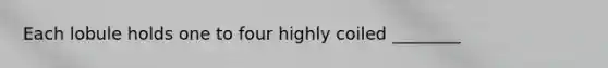 Each lobule holds one to four highly coiled ________