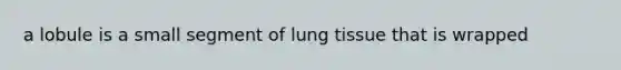 a lobule is a small segment of lung tissue that is wrapped