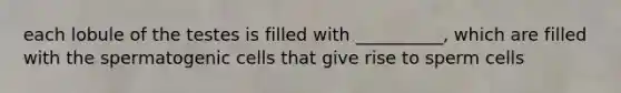 each lobule of the testes is filled with __________, which are filled with the spermatogenic cells that give rise to sperm cells