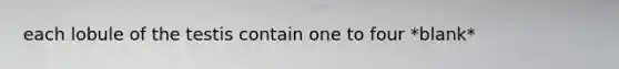 each lobule of the testis contain one to four *blank*