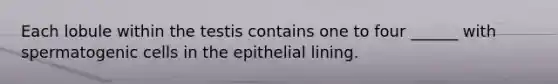 Each lobule within the testis contains one to four ______ with spermatogenic cells in the epithelial lining.