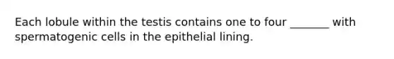 Each lobule within the testis contains one to four _______ with spermatogenic cells in the epithelial lining.