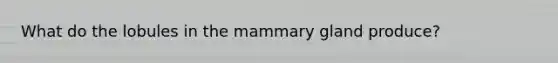 What do the lobules in the mammary gland produce?